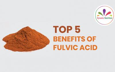 Top 5 Benefits Of Fulvic Acid