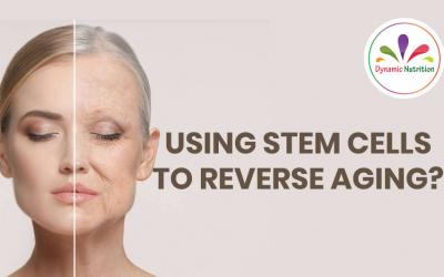 Using Stem Cells To Reverse Aging?
