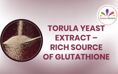 Torula Yeast Extract – Rich Source of Glutathione