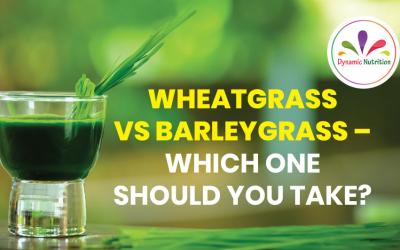 Wheatgrass vs Barleygrass – Which One Should You Take?