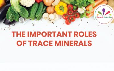The Important Roles Of Trace Minerals