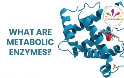What Are Metabolic Enzymes?