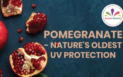 Pomegranate – Nature’s Oldest UV Protection