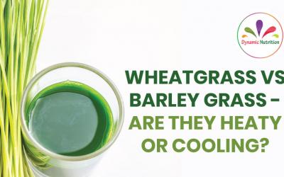 Wheatgrass vs Barley Grass – Are They Heaty Or Cooling?