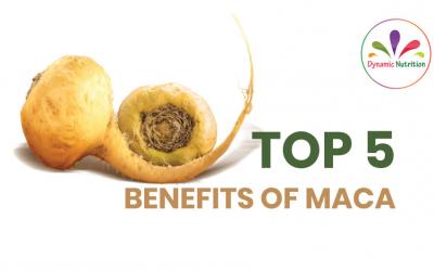 Top 5 Benefits Of Maca