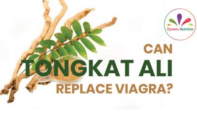 Can Tongkat Ali Replace The Little Blue Pill?
