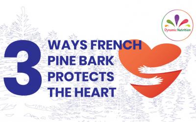 Three Ways French Pine Bark Protects The Heart