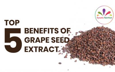 Top 5 Benefits Of Grape Seed Extract