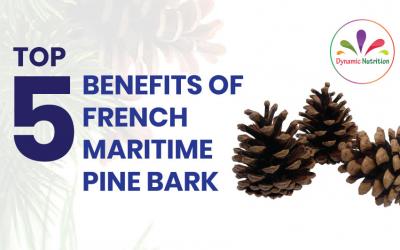 Top 5 Benefits Of French Maritime Pine Bark