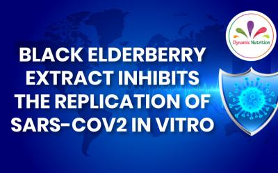 Black Elderberry extract inhibits the replication of SARS-CoV-2 in vitro