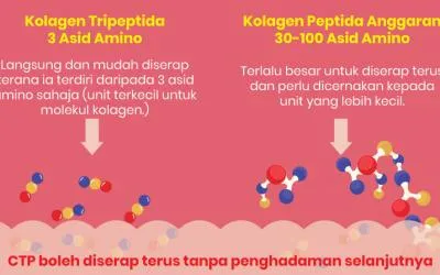 Kolagen Terbaik di Malaysia: Mengapa Kolagen Tripeptida