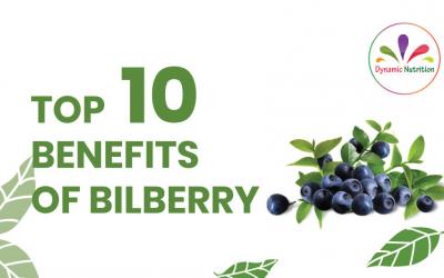 Top Ten Benefits of Bilberry