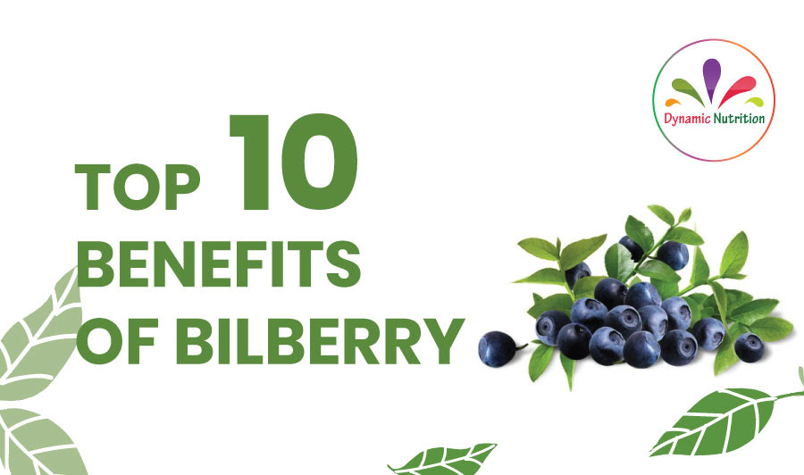 Top Ten Benefits of Bilberry Dynamic Nutrition
