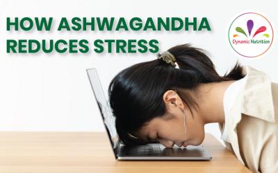 How Ashwagandha Reduces Stress