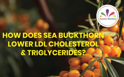 How Does Sea Buckthorn Lower LDL Cholesterol & Triglycerides?