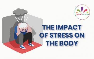 The Impact of Stress on the Body