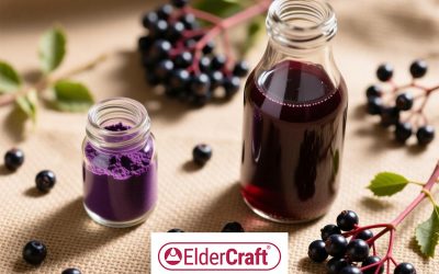 ElderCraft vs. Elderberry Juice: Not ‘Better’—Just Different. Here’s How to Choose.