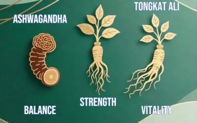 How Men Guard Supports Male Libido and Holistic Wellness