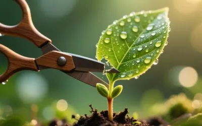 The “Tomorrow’s Leaf”: Organic Ashitaba for Aging Well