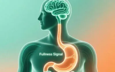 AshiSlim: Increase GLP‑1 Naturally for Easier Weight Management