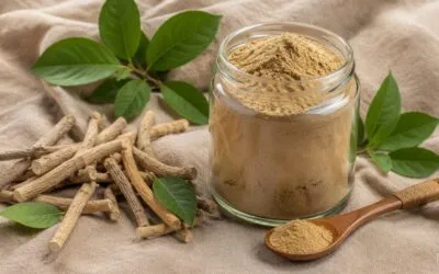 Ashwagandha untuk Tekanan dan Tidur: Apa yang Kajian Klinikal Sebenarnya Sokong