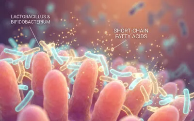 Probiotics for Constipation Relief: What the Research Shows