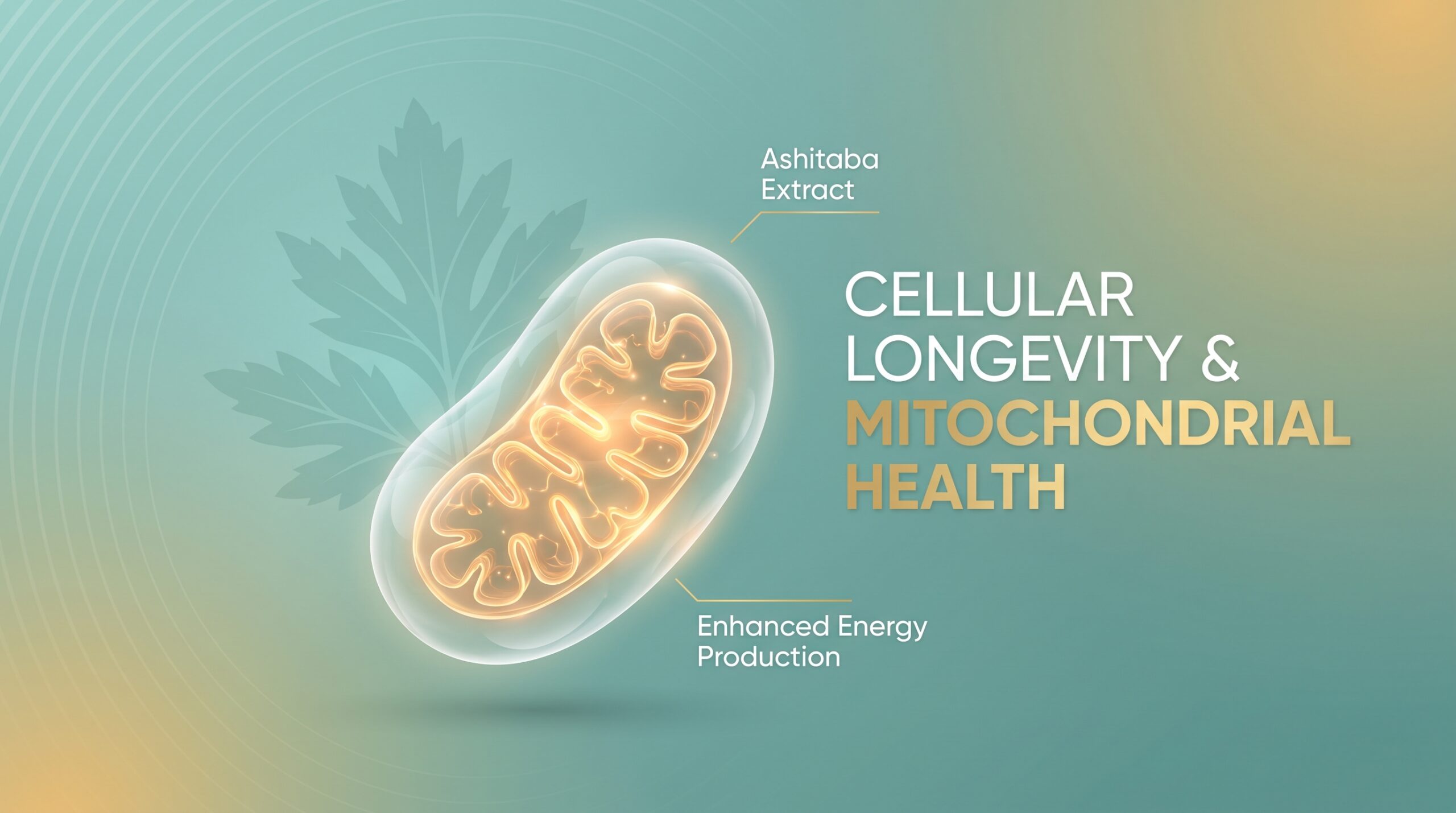 Cellular longevity concept illustration