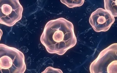 NuSTEM – A Vegan Approach To Stem Cell Support