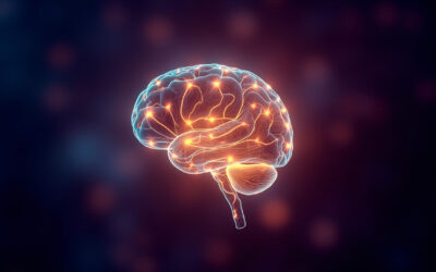 The Star says vitamin D could help delay dementia — but the substrate nobody talks about is the stem-cell layer that actually rebuilds the brain’s repair crews