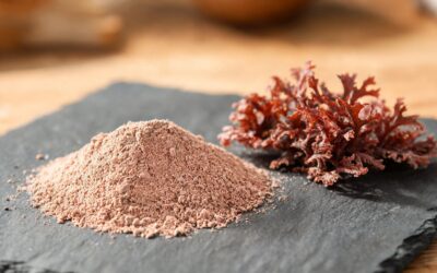 Aquamin seaweed calcium: how a multi-substrate bone-density stack differs from a calcium-only pill