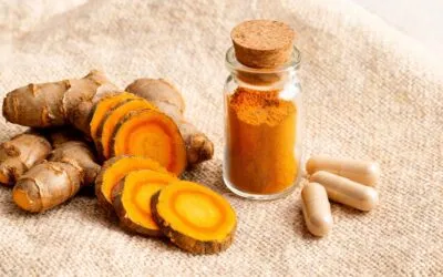 Turmacin® Turmeric Extract: Bioavailable Curcumin for Liver Inflammation and Joint Health