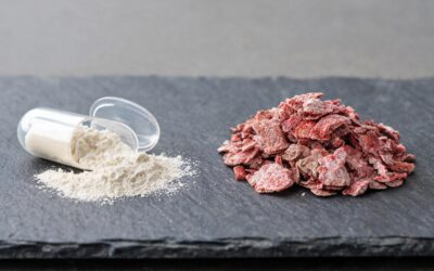 Seaweed Calcium vs Calcium Citrate: Which Is Better?