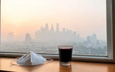 Beyond the N95: 5 Whole-Berry Antioxidants for Haze Season
