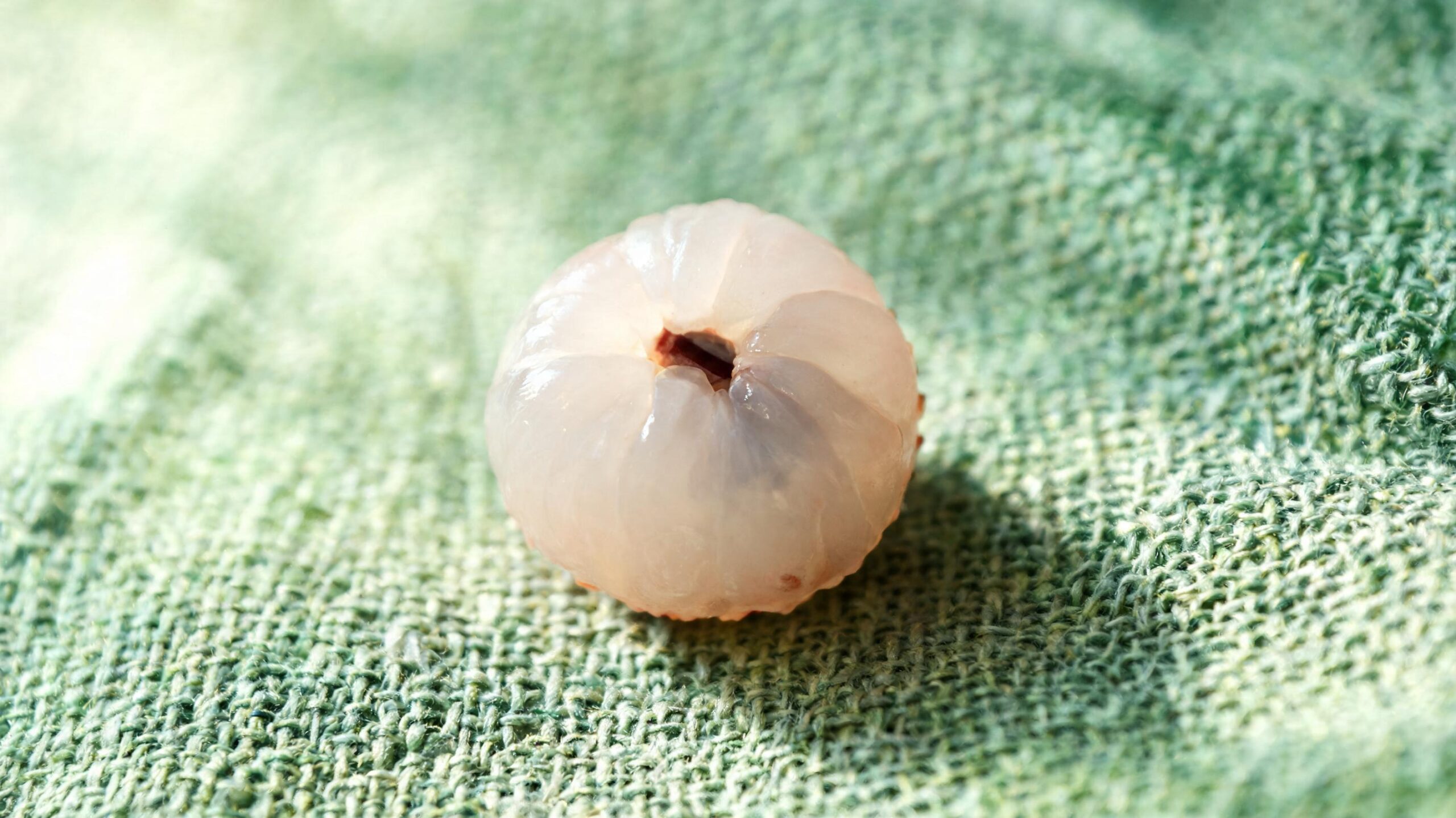 Translucent lychee-like gel sphere on jade linen, editorial wellness photo suggesting peptide chains